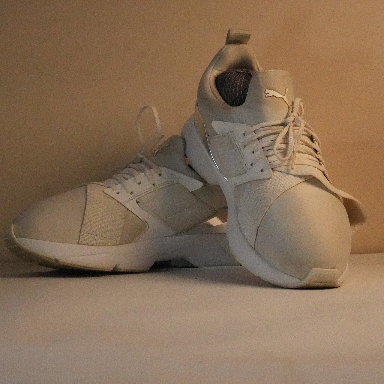 WMNS Muse X5 Metal – White / Silver (383954-02)